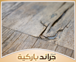 استشر خبراء جراند باركيه لترميم الأرضيات 0542860739 كيفية إصلاح الباركيه المتضرر من الماء خطوة بخطوة