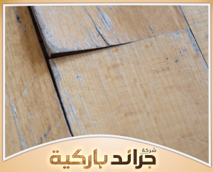احصل على حلول الباركيه من جراند باركيه 0542860739 أرضيات باركيه تظهر عليها علامات الانتفاخ بسبب الرطوبة